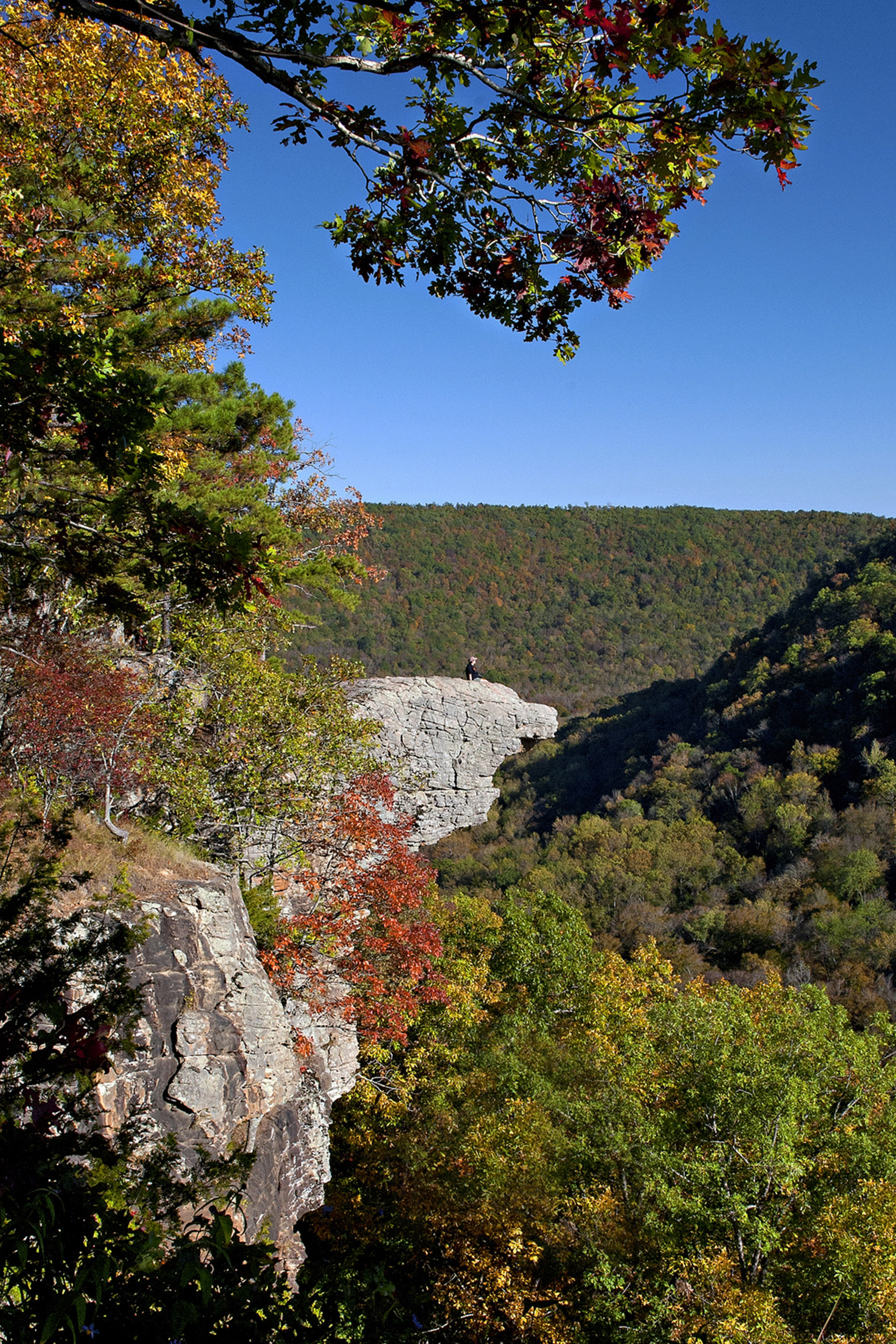Whitaker Point October