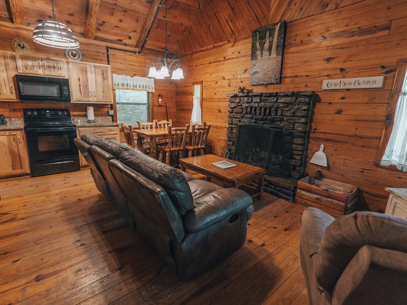 Another view of the living roommate Ponca Cabin 1