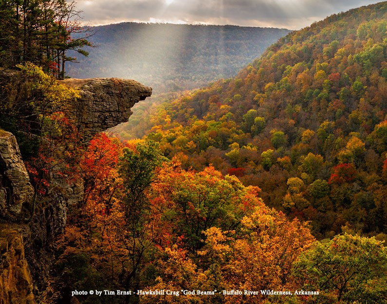 Tim's Whitaker Point Image