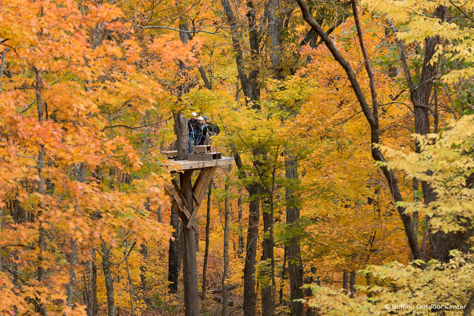 Zip line golden boy