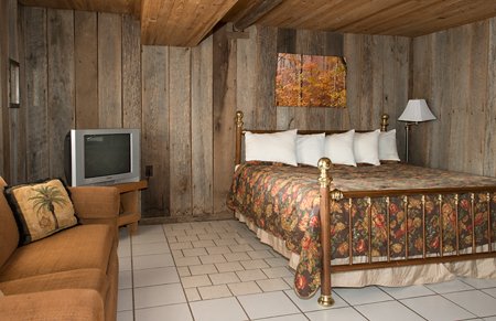 The cabin's downstairs bedroom features a queen-size bed.