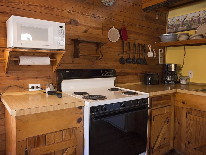 Songbird Cabin Kitchen