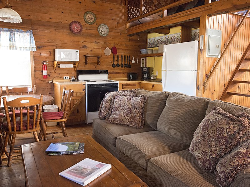 The Songbird Cabin's open living, dining and kitchen area.