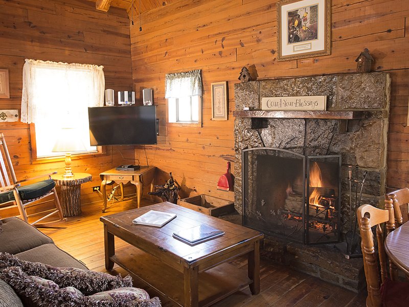 Another view of the Songbird Cabin's living area.