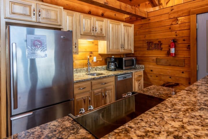 Cabin X fully furnished kitchen