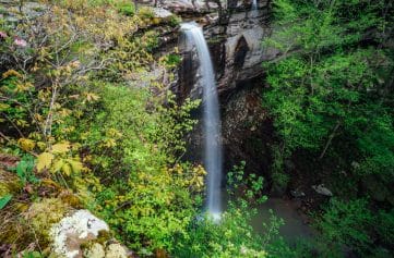 A view of Sweden Creek Falls from a cliffside on the upper trail.