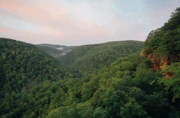 A view over the valley during morning from Whitaker Point / Hawksbill Crag.