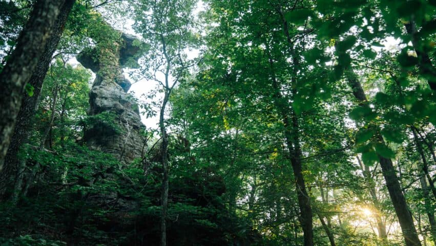 A view from below of one of the Many pedestals along the Pedestal Rocks Trail