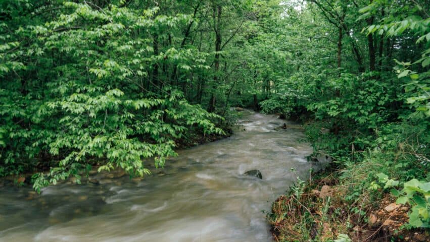 A view of Shop Creek below Triple Falls.