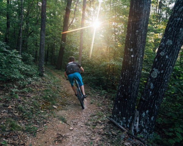 A mountain bike rider rides through the Ozark National Forest at sunrise.