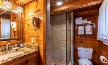 The Songbird Cabin's modern showerbath.