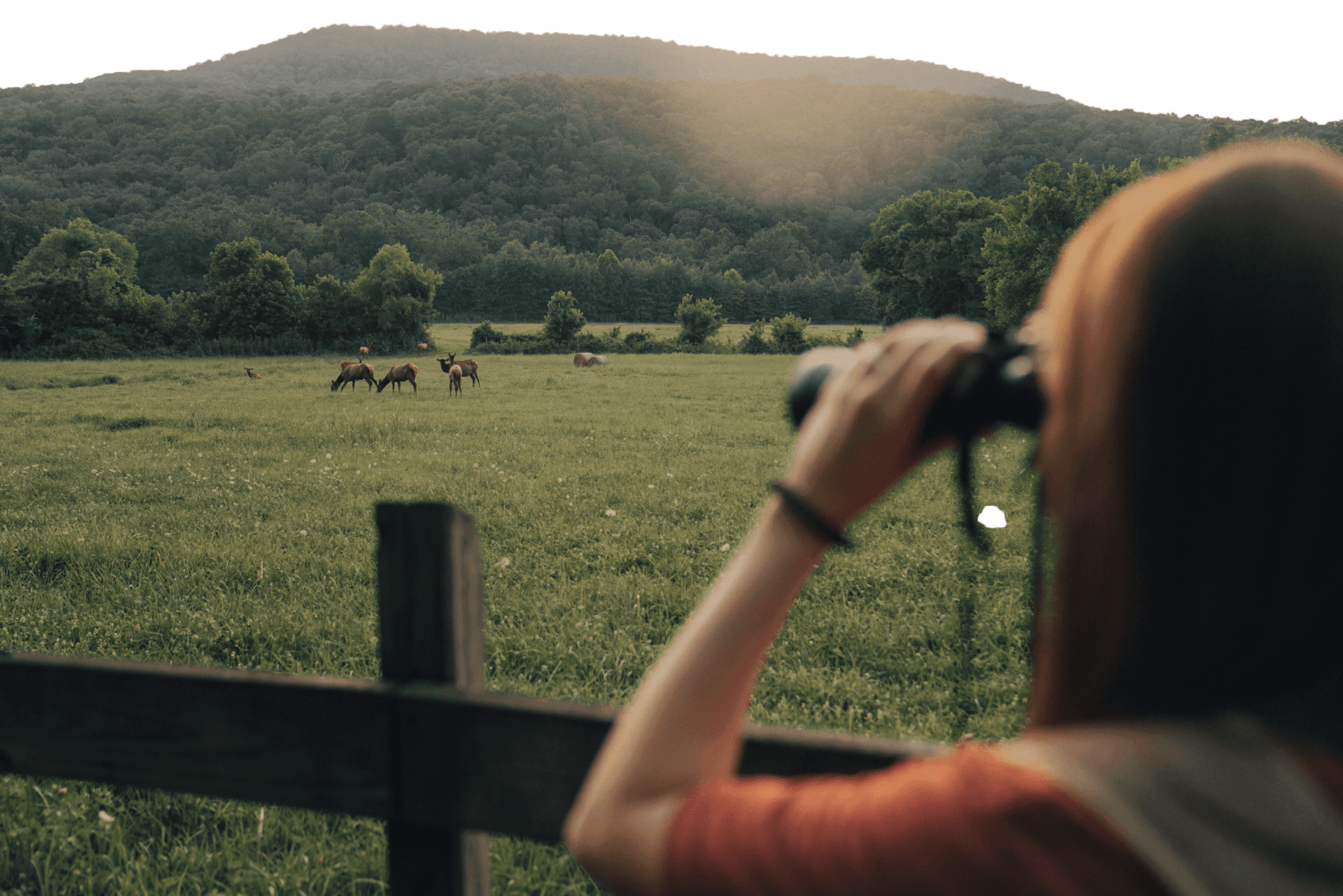 Young girl using binoculars to view wildlife