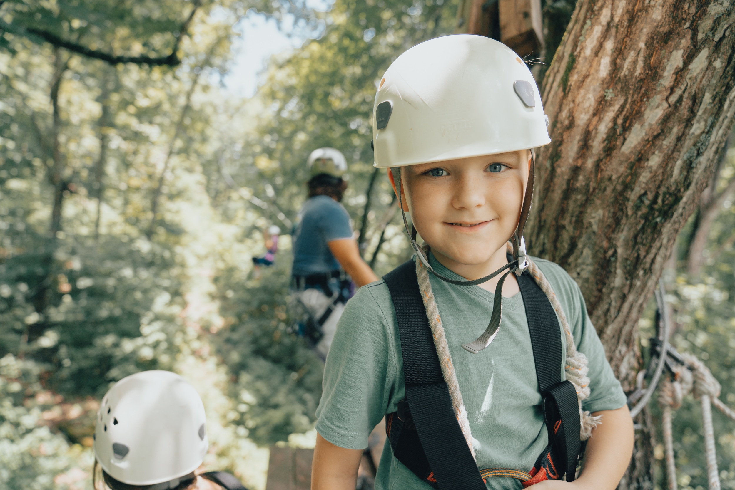 Zip Line on the Buffalo River Canopy Tour 