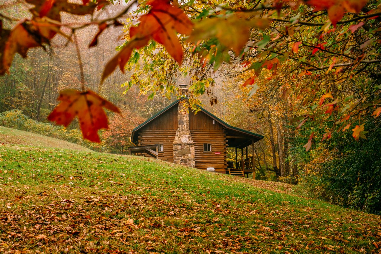 Autumn color at Songbird Cabin