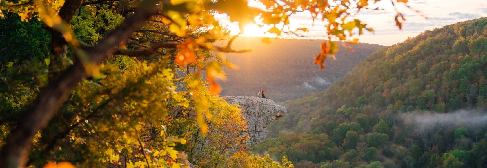 Fall color at Whitaker Point