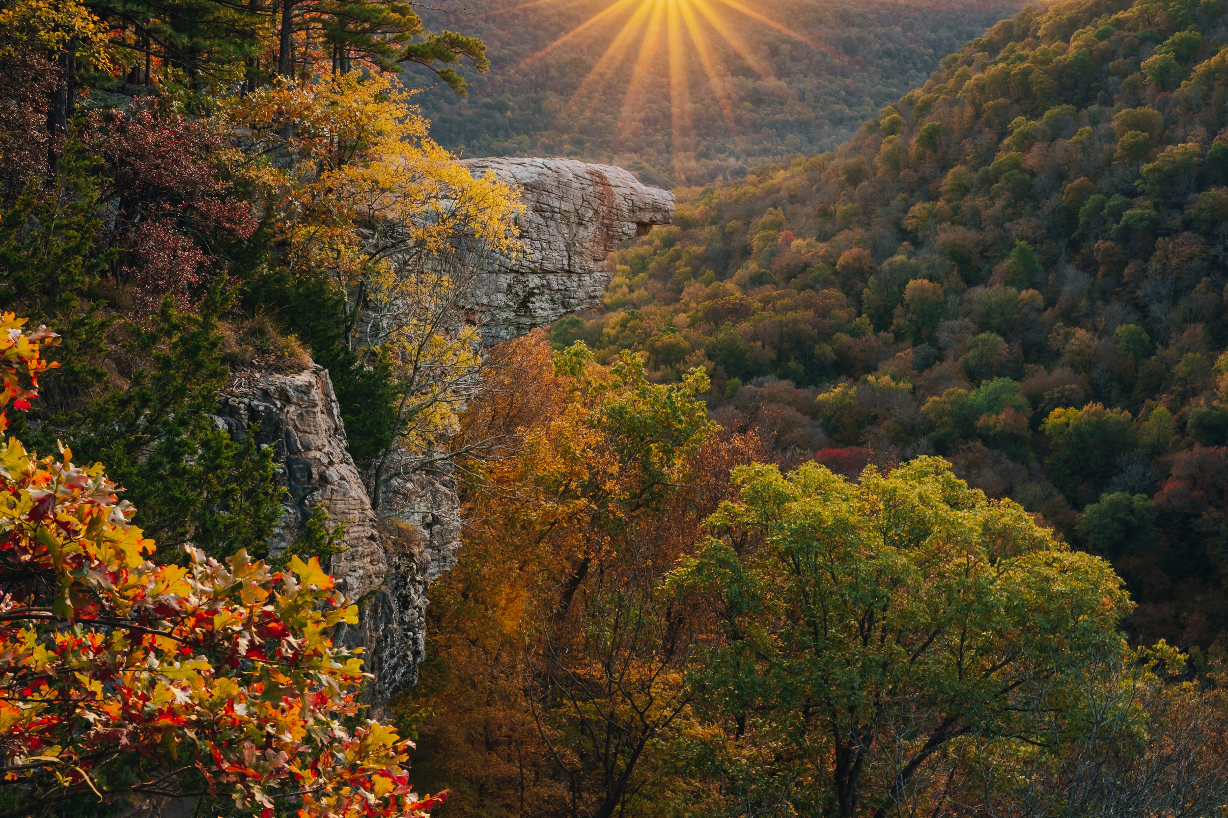 Fall at Whitaker Point / Hawksbill Crag