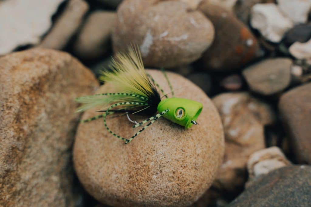 Fly fishing lure on Buffalo National River