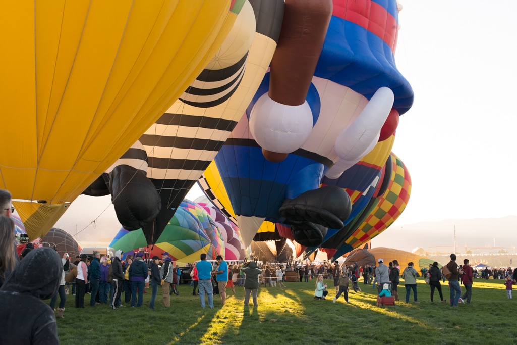 Hot air balloons of all shapes and sizes tower above the crowd at Albuquerque's Balloon Fiesta.