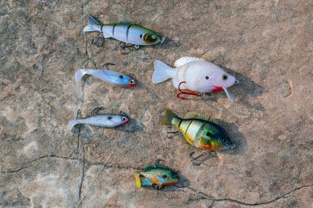 Swim baits are easy to rig and use for Buffalo River fishing.