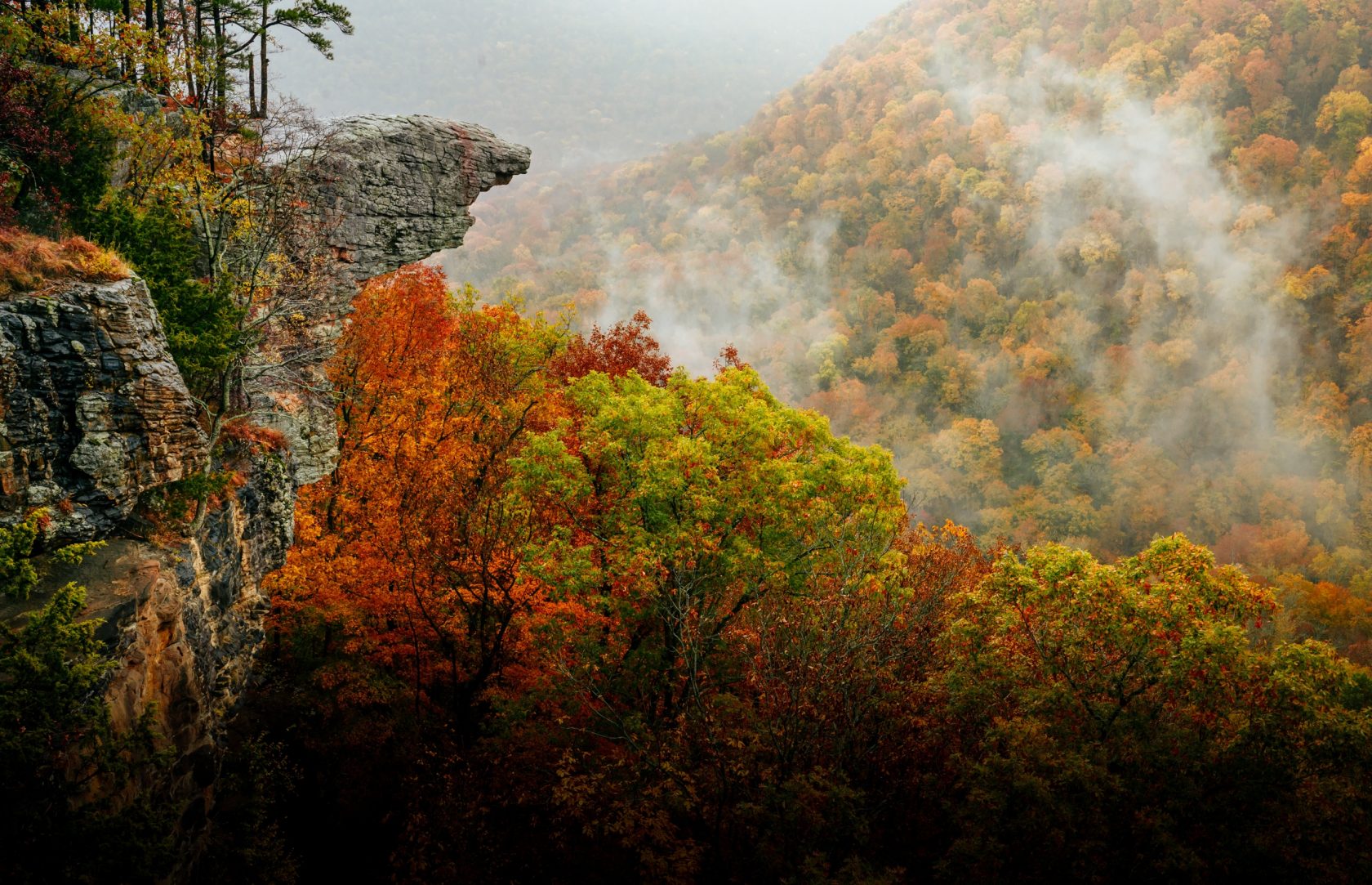 Fall Foliage at Whitaker Point / Hawksbill Crag